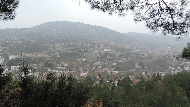 Toroslar Soğucak, Bekiralanı ve Kepirli Yaylası Rehberi:Merkeze En Yakın Çam Yaylaları