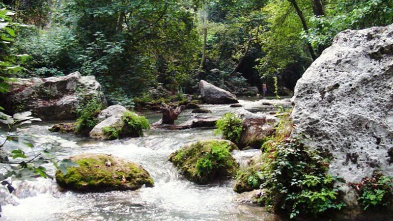 Kayacı Vadisi ve Limonlu (Lamas) Kanyonu Gezi Rehberi:Su İçinde Serin Kahvaltı &Alabalık Keyfi