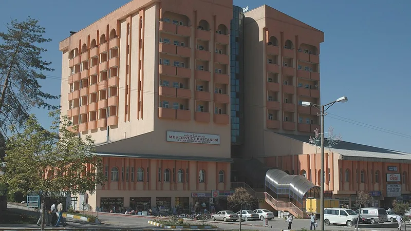 Mersin Psikolog, Klinik Psikolog, Pedagog ve Çift/Aile Danışmanlığı Merkezleri Rehberi